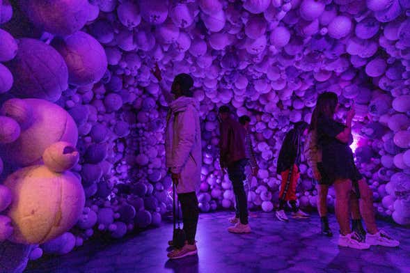 Biglietti per il Museo Moco di Amsterdam