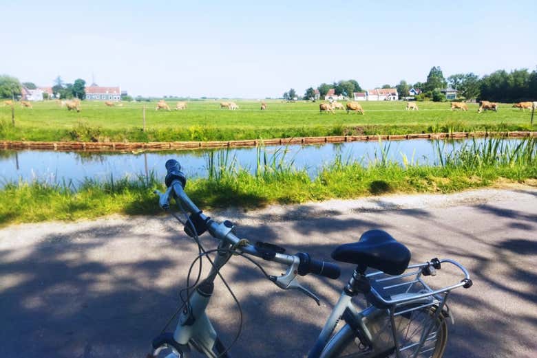 Durante il giro in bici