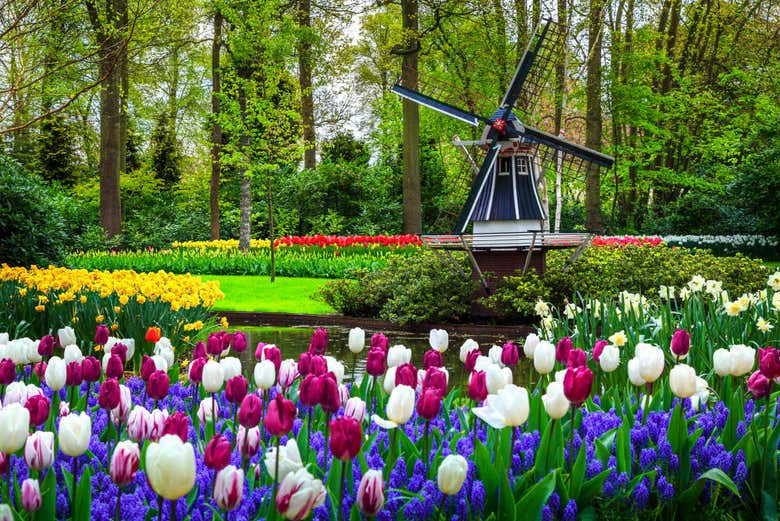 A Keukenhof contempleremo splendidi paesaggi