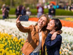 Keukenhof