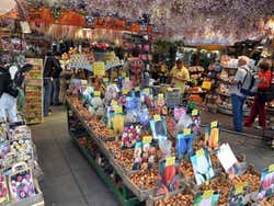 Mercato dei fiori