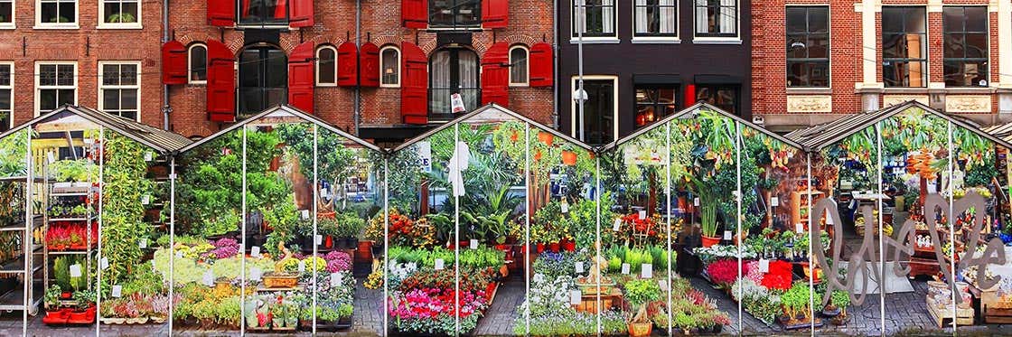 Mercato dei Fiori di Amsterdam